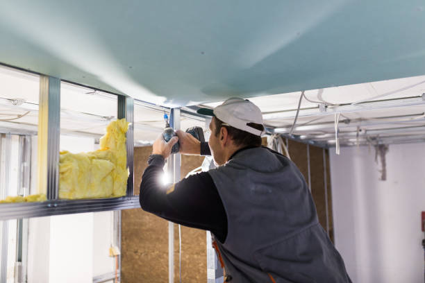 Best Insulation Maintenance and Repair in Pineville, LA